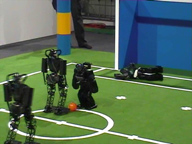 RoboCup 2006 Humanoid League 2 vs. 2 Soccer Games Final