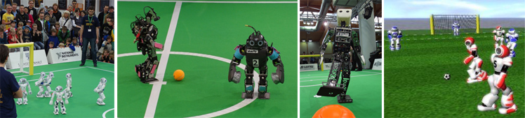 Humanoid Soccer